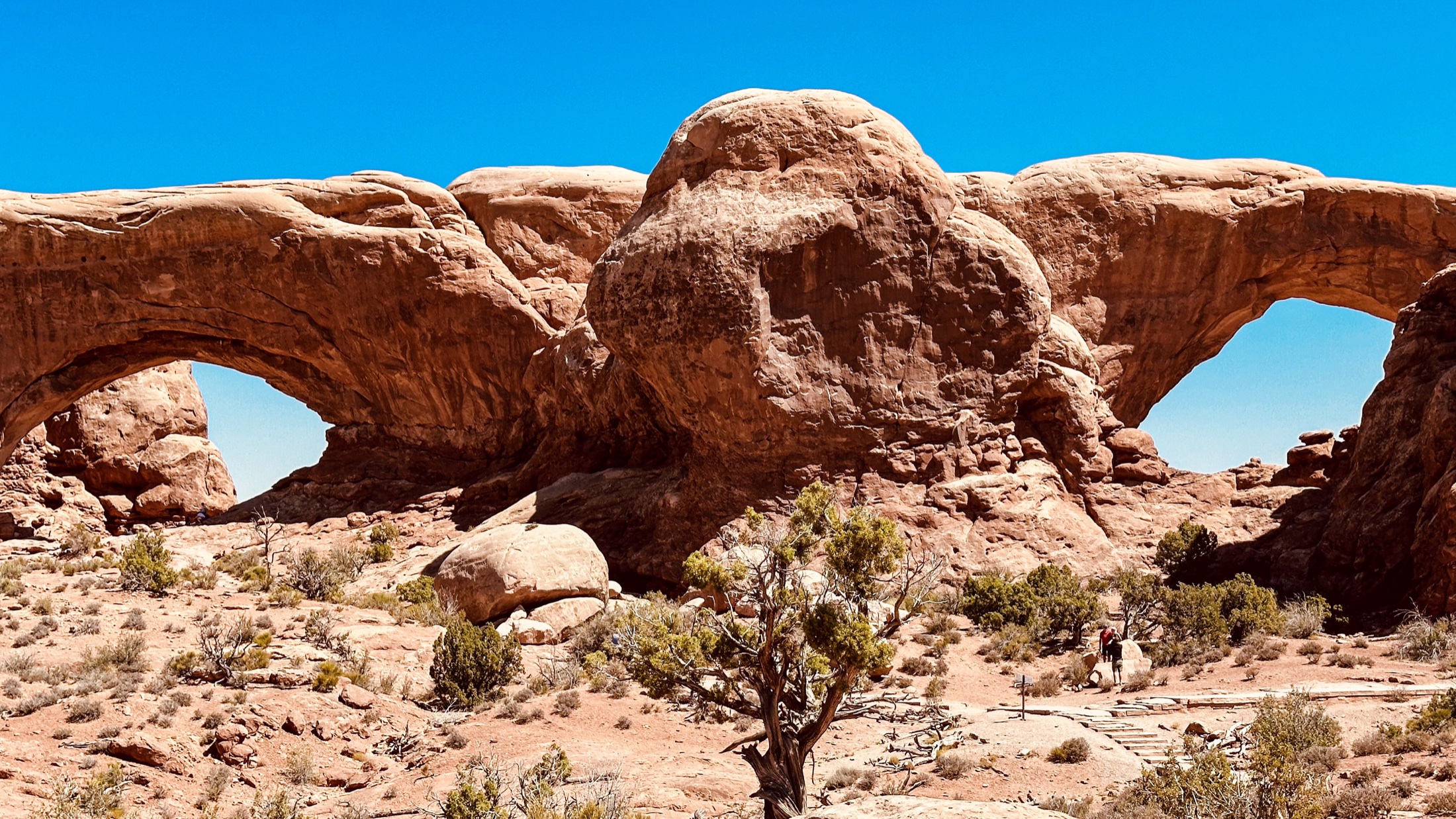Two large openings in a red sandstone formation beneath a blue sky