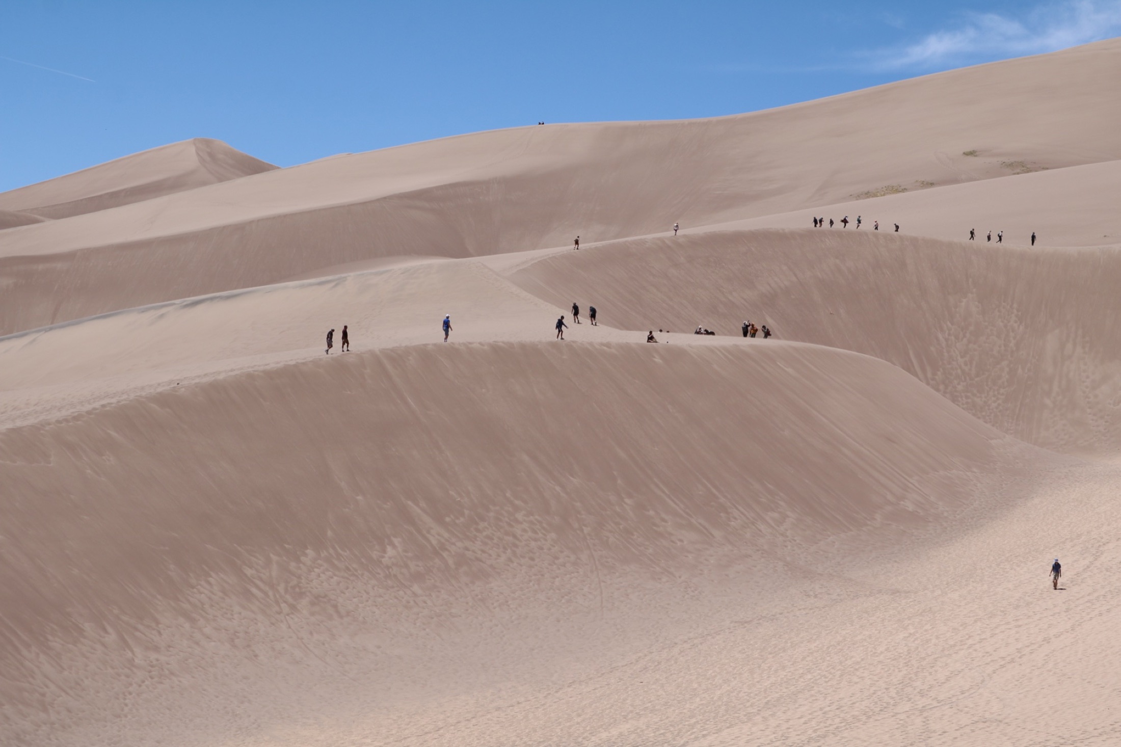 Visitors crossing the broad slopes of Great Sand Dunes