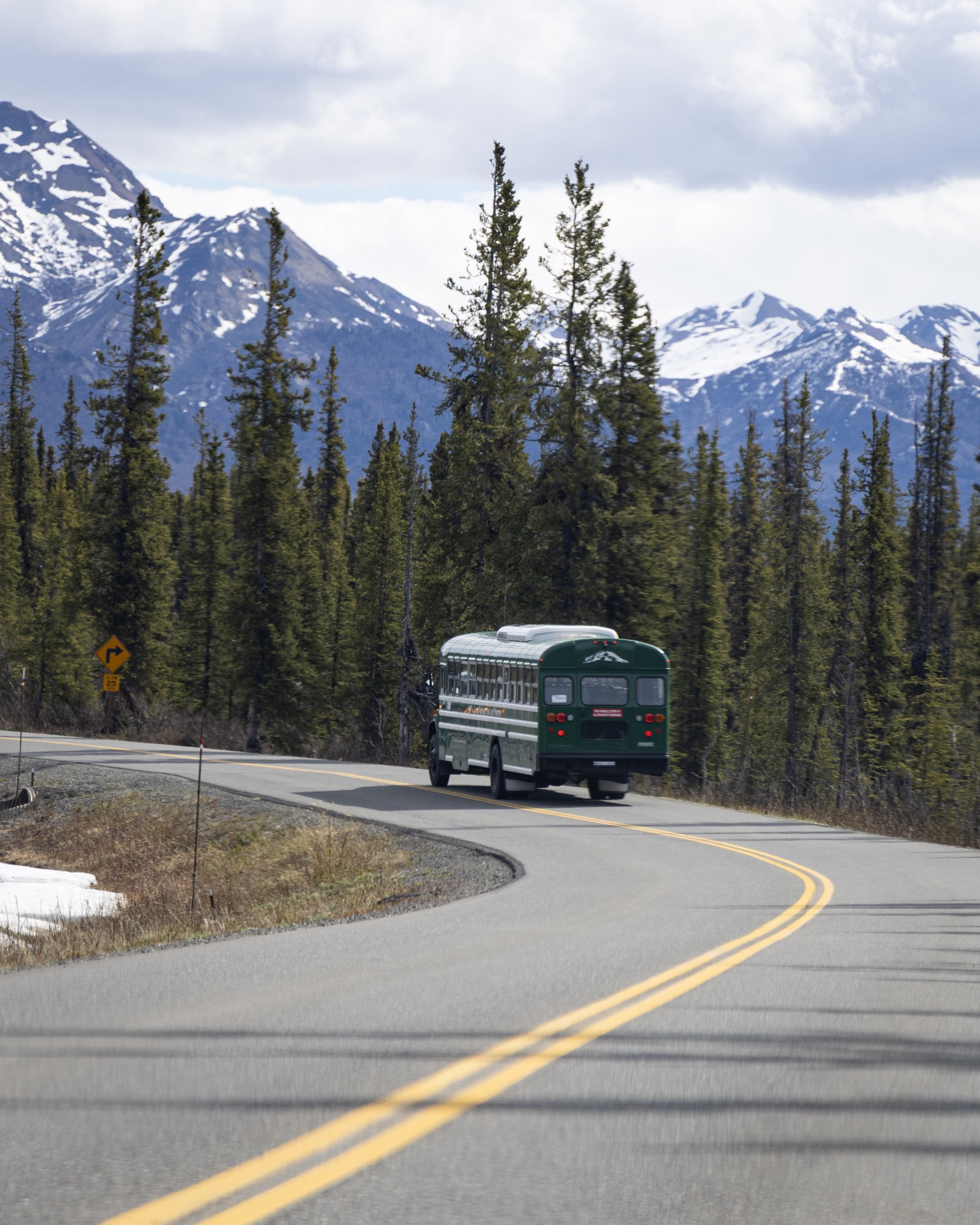 A green Denali park bus traveling toward snow-covered mountains
