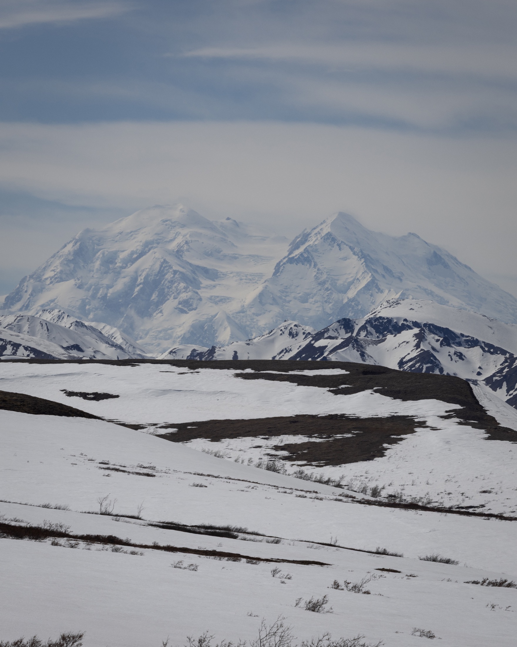 Denali viewed across rolling snow-covered tundra