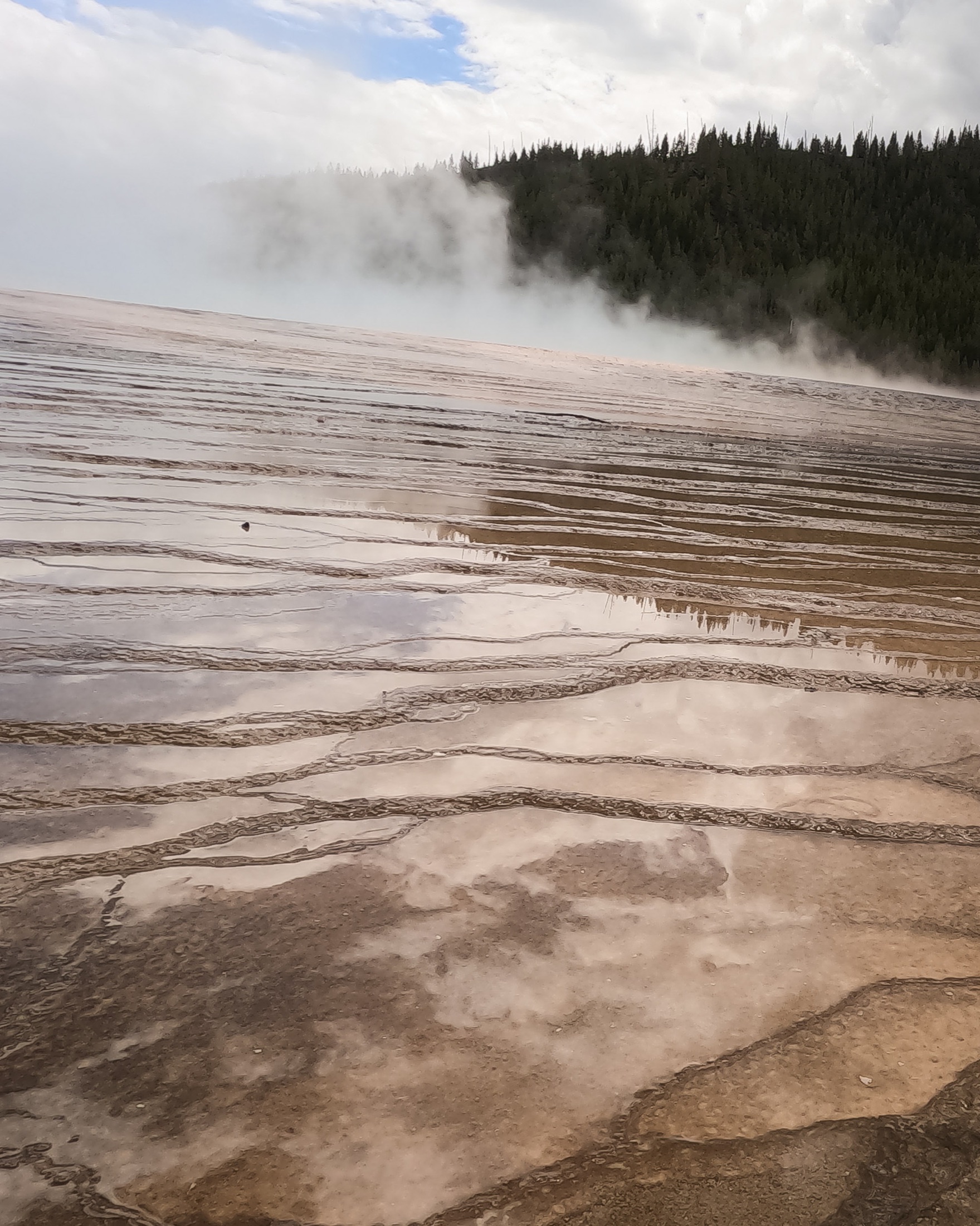 Steam drifting over reflective mineral terraces in Yellowstone
