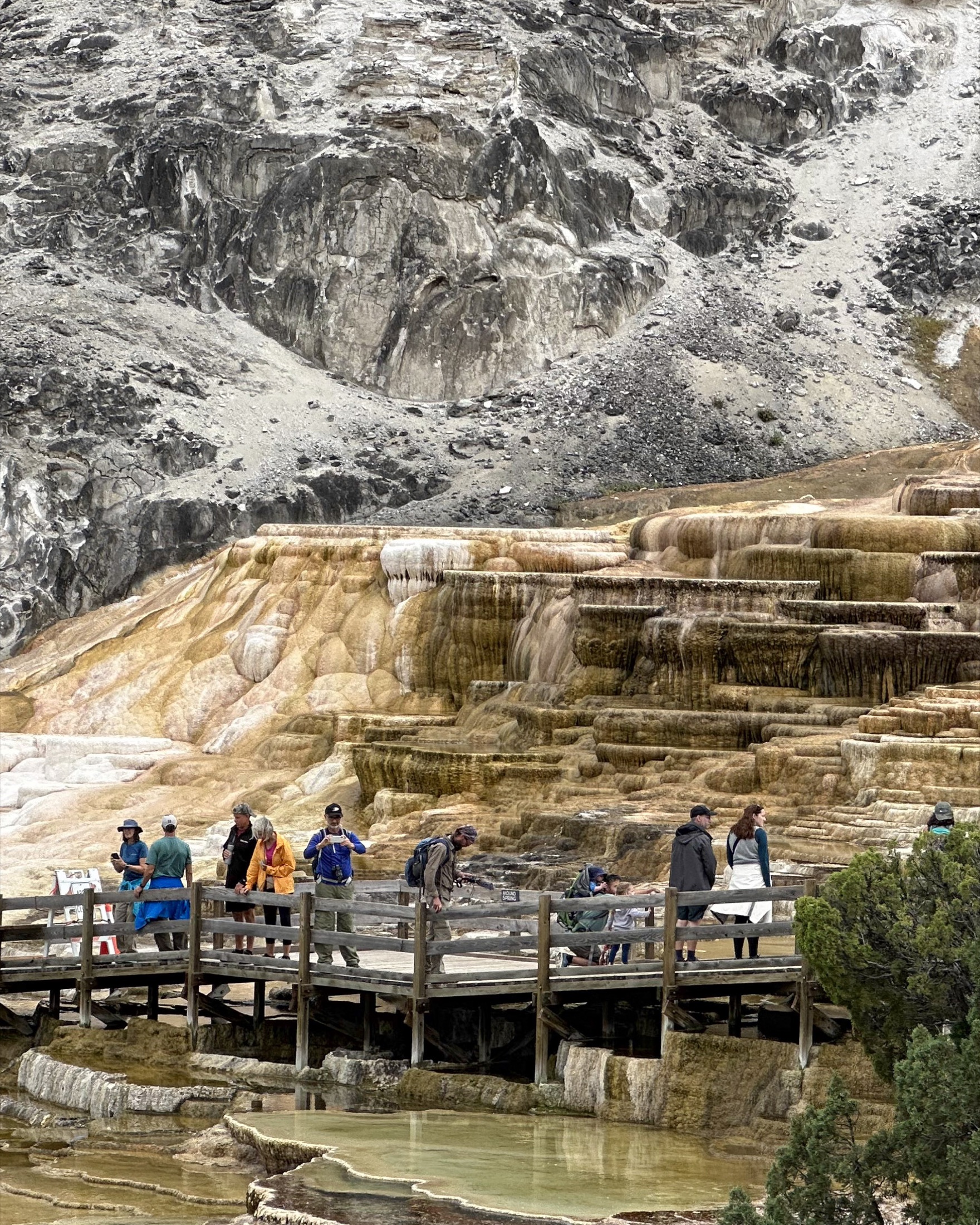 Visitors walking on a boardwalk below Yellowstone’s mineral terraces